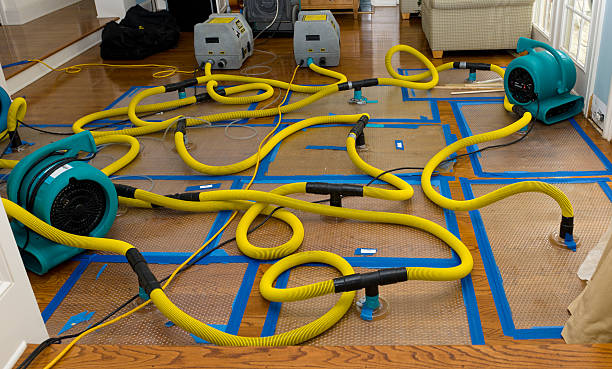 Professional Sewage Cleanup technician working in Como, CO